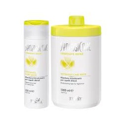 Itely SynergiCare Immediate Repair Intensieve Care Mask 1000 ml
